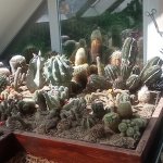 phoca_thumb_m_tropic zajici 46 Fotogalerie